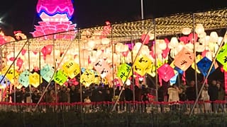 Lantern and light show as countdown begins for Chinese New Year