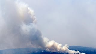 أستراليا تؤكد أن انتهاء أزمة الحرائق يحتاج لوقت طويل رغم الأمطار