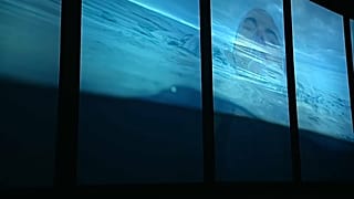 Nouvelle expérience immersive à l'Océanarium de Lisbonne