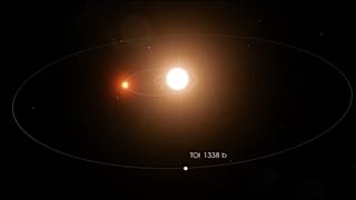 TOI 1338 b