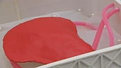 أمل جديد في زراعة الكبد.. اختراع جهاز يحافظ على الكبد خارج الجسم لمدة أسبوع كامل