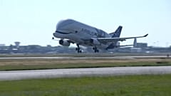 Munkába állt az Airbus Beluga XL