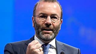 Weber: nem kérünk leckéket Orbántól