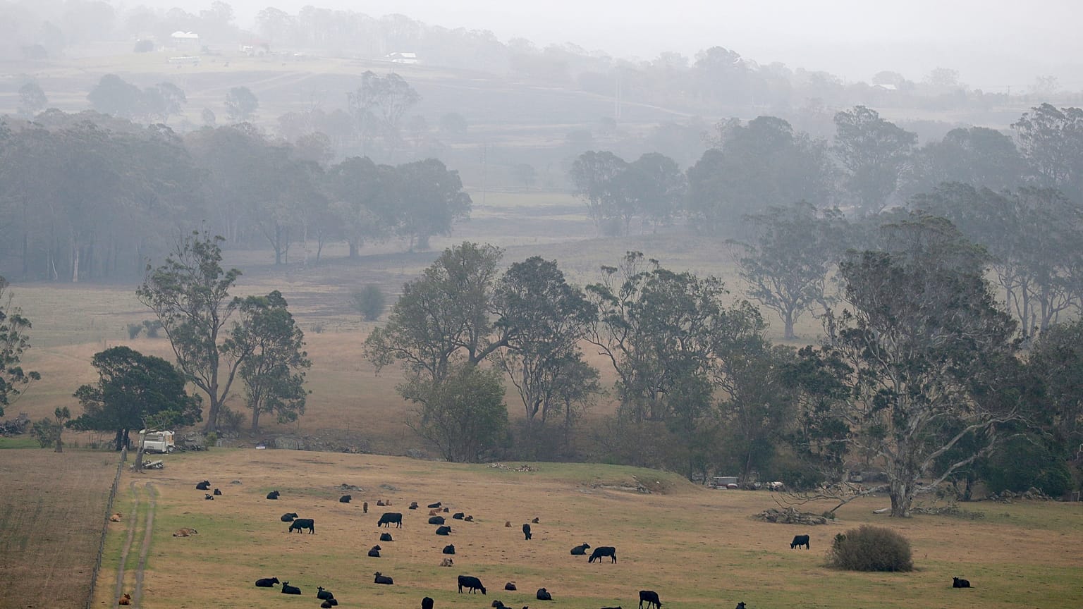 Humo y lluvia mezclados cerca de Milton, el pasado 5 de enero.