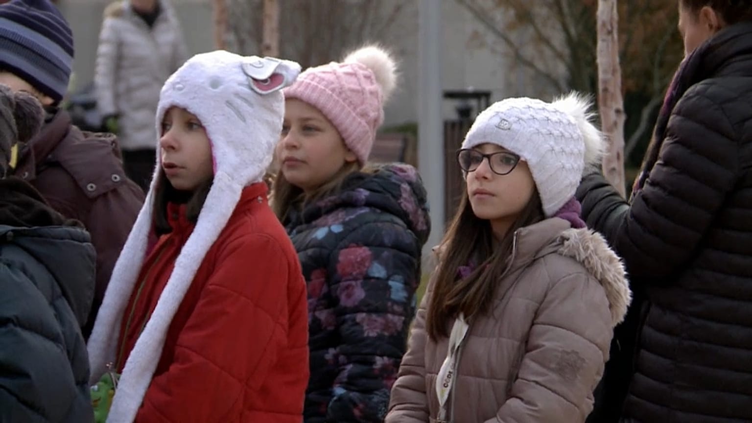 Hungary opens state-sponsored fertility clinics to counter population decline