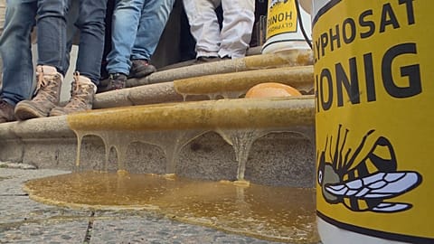 В Берлине протестуют фермеры