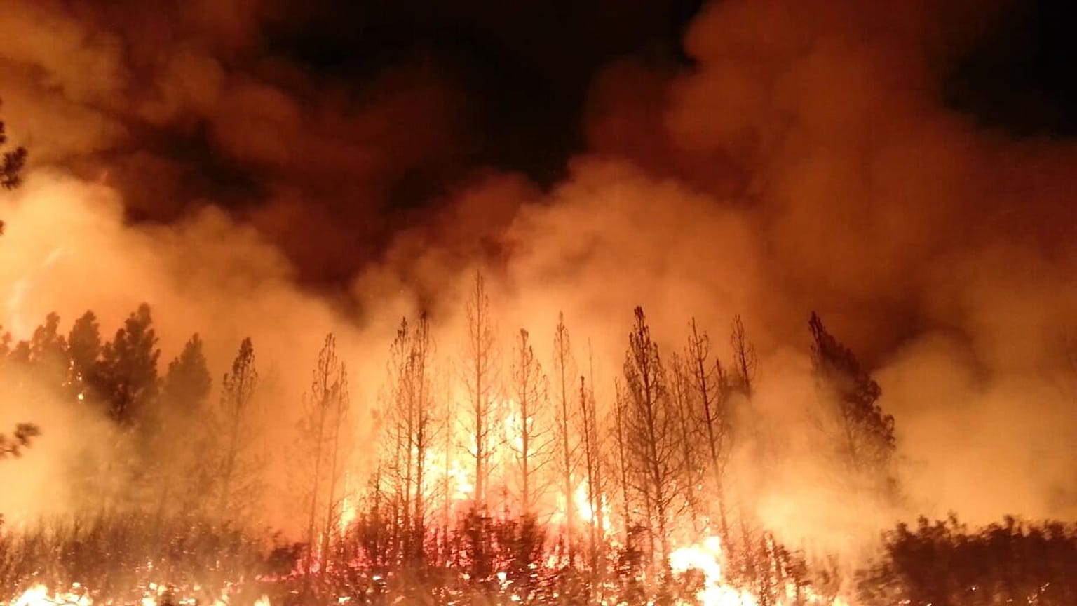 https://en.wikipedia.org/wiki/Wildfire