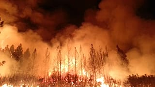 https://en.wikipedia.org/wiki/Wildfire