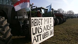 Bauernprotest: Unzählige Traktoren in mehreren deutschen Städten
