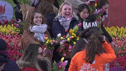 Blumen kostenlos: Tag der Tulpen in Amsterdam