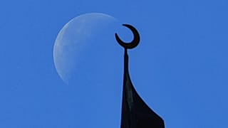 "السركال افنيو" يطمح لتقديم مشهد ثقافي بديل في دبي