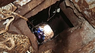 Un "prison break" au Paraguay : 80 prisonniers s'évadent par un tunnel