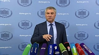 Володин против затягивания "исторического решения"