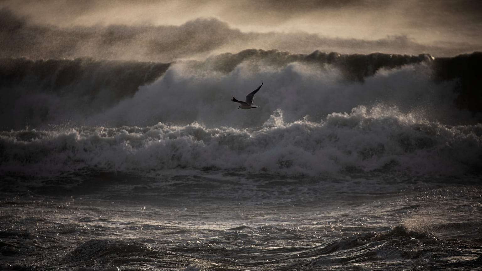 Ten provinces on red alert as Storm Gloria sweeps across Spain