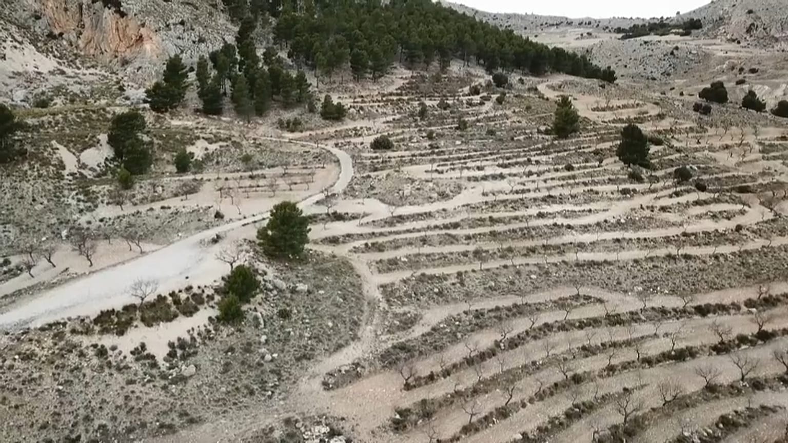 Los peligros de la desertificación y el daño al suelo