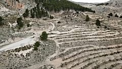 Los peligros de la desertificación y el daño al suelo