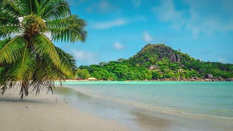 WATCH | Government puts nature centre stage in the Seychelles