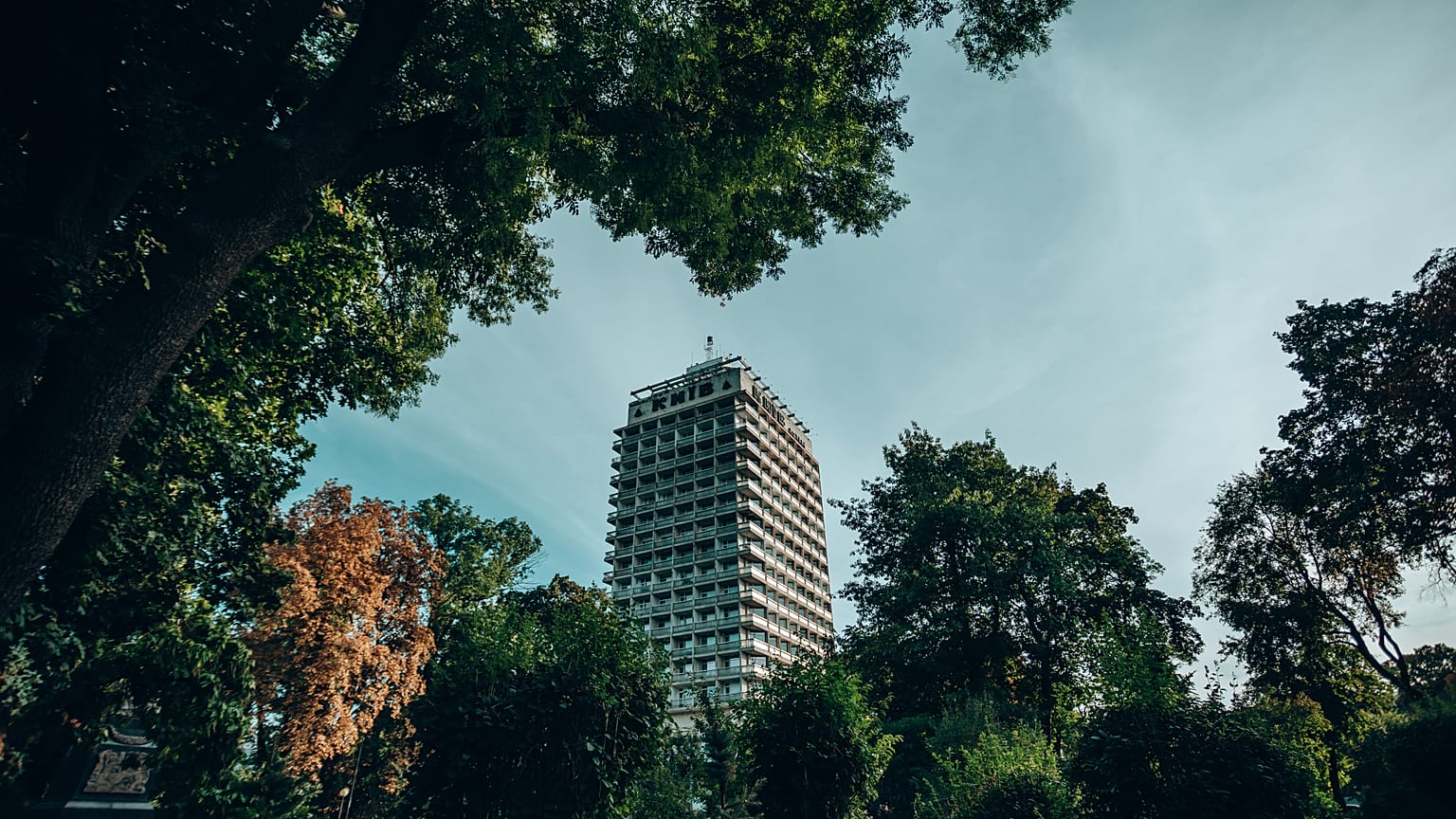 Highrise building with trees surrounding it