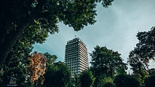 Highrise building with trees surrounding it