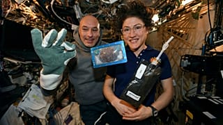 Astronotlar ilk kez uzayda kurabiye pişirdi