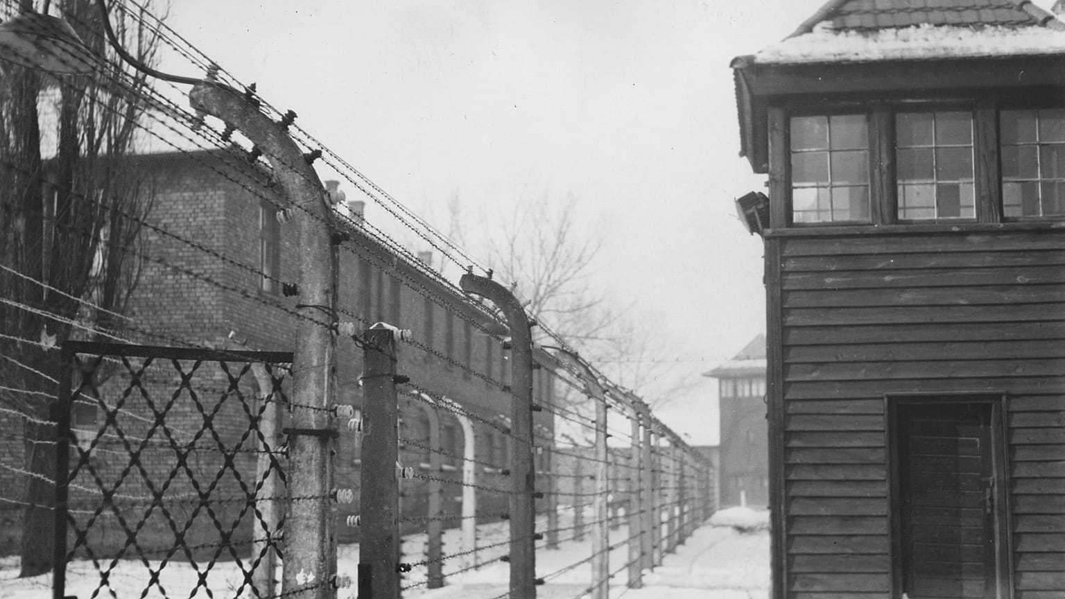 Eurodiputada polaca comparte imagen de vacas con uniformes de Auschwitz y rechaza disculparse