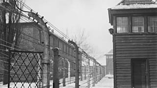 Eurodiputada polaca comparte imagen de vacas con uniformes de Auschwitz y rechaza disculparse