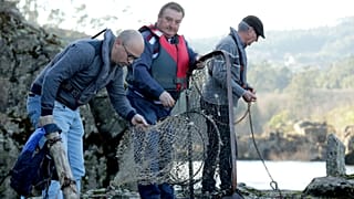 Varios pescadores capturan peces en una de las pesqueiras del río Miño.