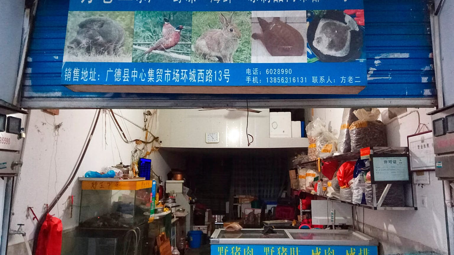 Store suspected of selling trafficked wildlife is seen in Guangde city  (Anti-Poaching Special Squad via AP)