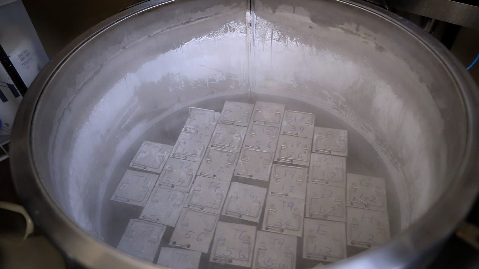 Embriones congelados