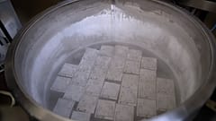 Embriones congelados