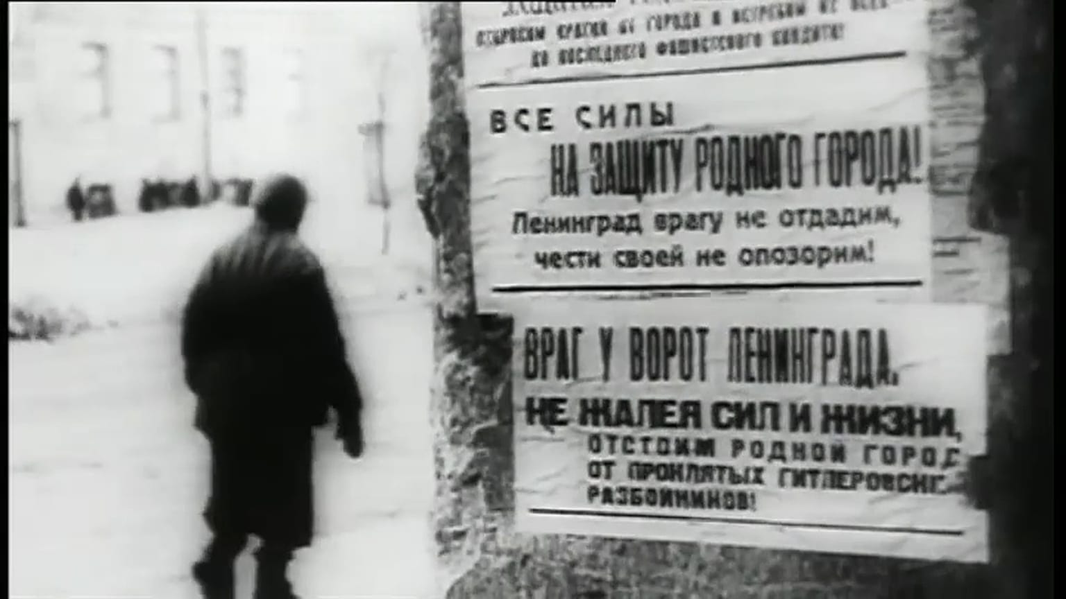 euronews