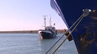 Kiköthet az Ocean Viking Olaszországban