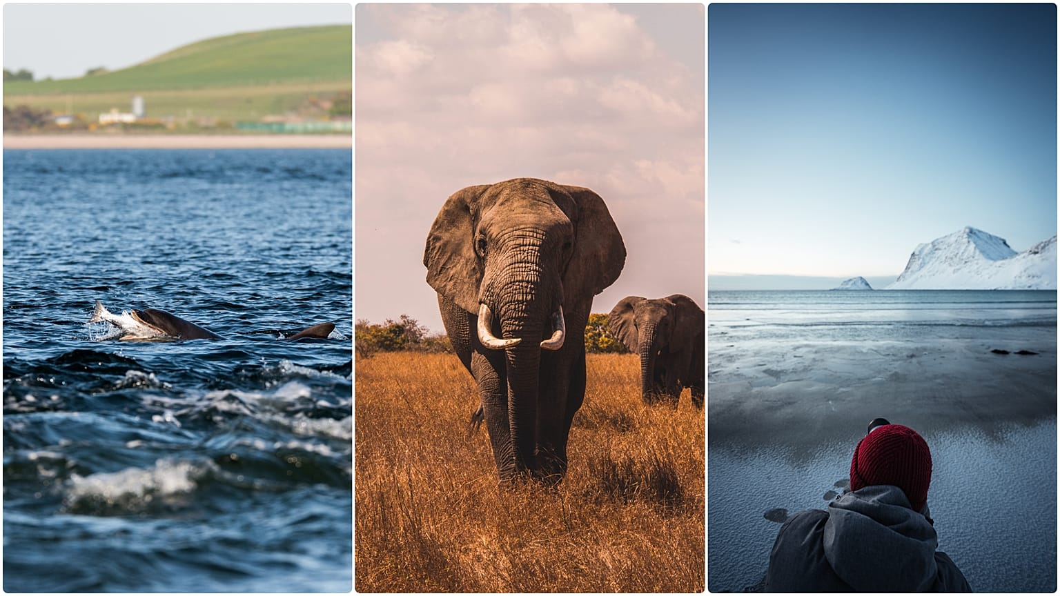 20 climate, nature and environment documentaries you must see in 2020