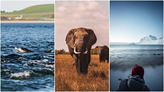 20 climate, nature and environment documentaries you must see in 2020