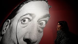 İsveç’teki sanat galerisinden Salvador Dali’nin bronz heykelleri çalındı