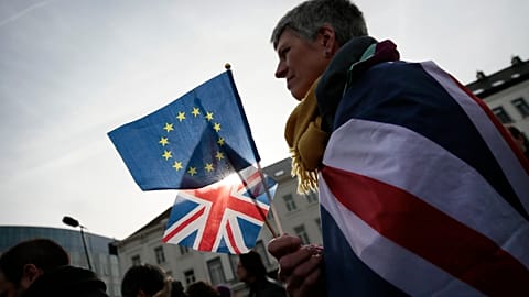 Un chêne aux couleurs britanniques devant le Parlement européen