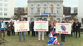 Британский дуб у Европарламента