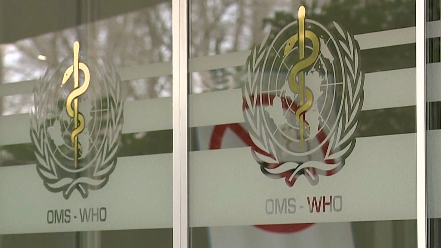 La OMS declara la emergencia internacional por el coronavirus