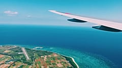 This company will give you free days off, if you don't fly to your destination
