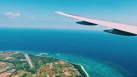This company will give you free days off, if you don't fly to your destination