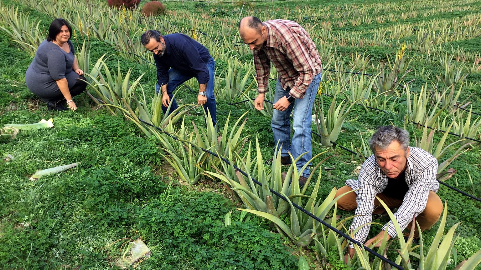 28η Agrotica: Κλιματική αλλαγή και γεωργία