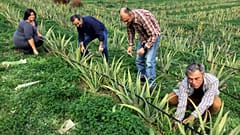 28η Agrotica: Κλιματική αλλαγή και γεωργία