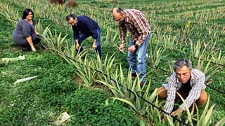 28η Agrotica: Κλιματική αλλαγή και γεωργία