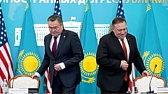 Новые друзья Помпео