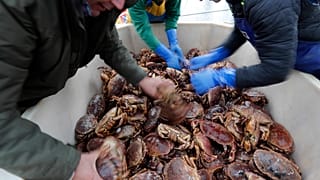 Los pescadores franceses sufren el Brexit con la suspensión de entrar en aguas británicas