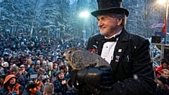 Phil szerint korán beköszönt a tavasz Pennsylvaniában