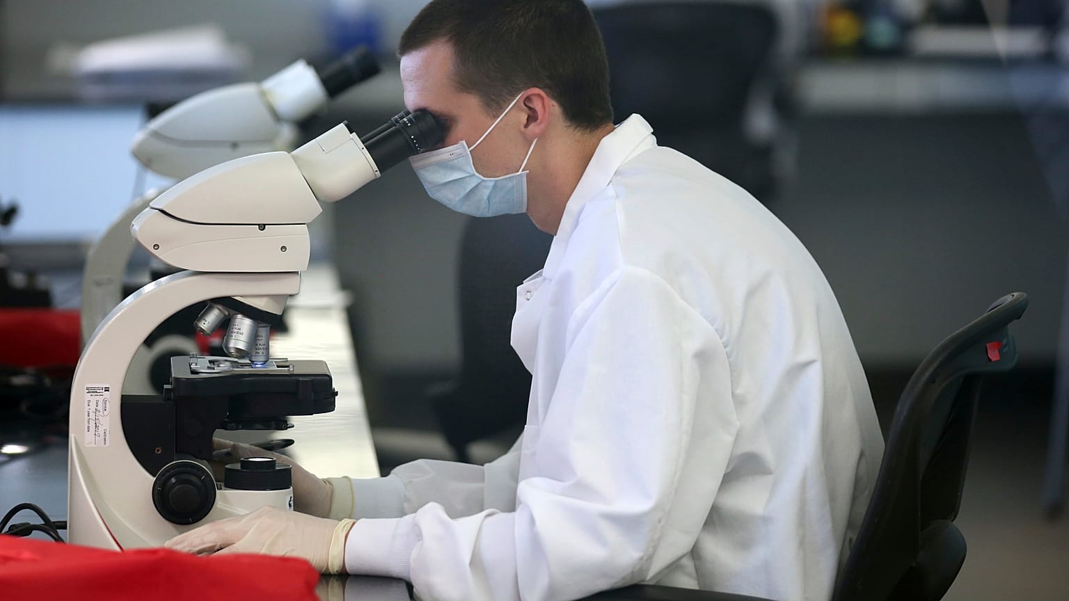 La chasse au nouveau coronavirus s'organise