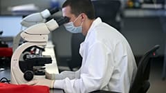La chasse au nouveau coronavirus s'organise