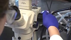Das sagen Europas Forscher zum Coronavirus 2019-nCoV