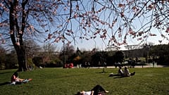 Onda de calor no sul de França